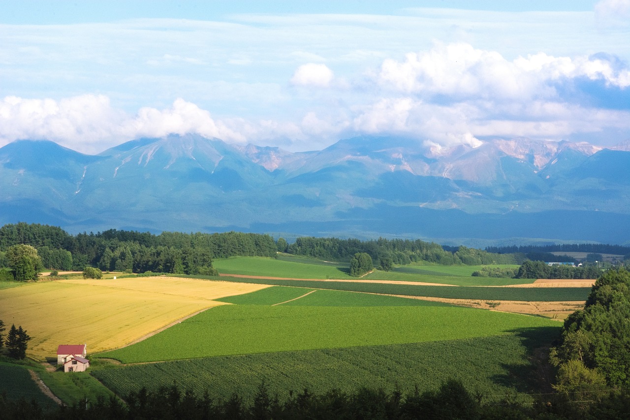 旅キテルネ！北海道