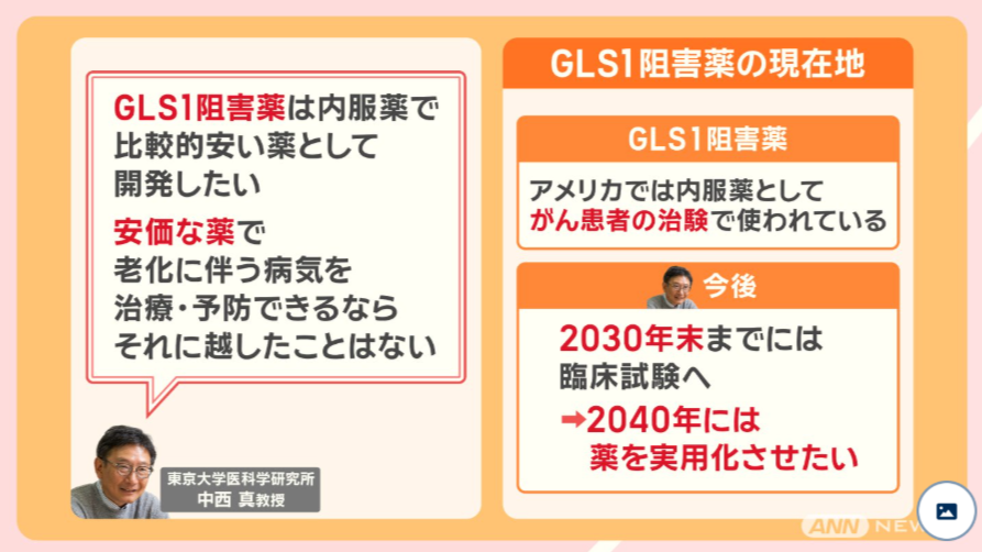 gls1阻害剤