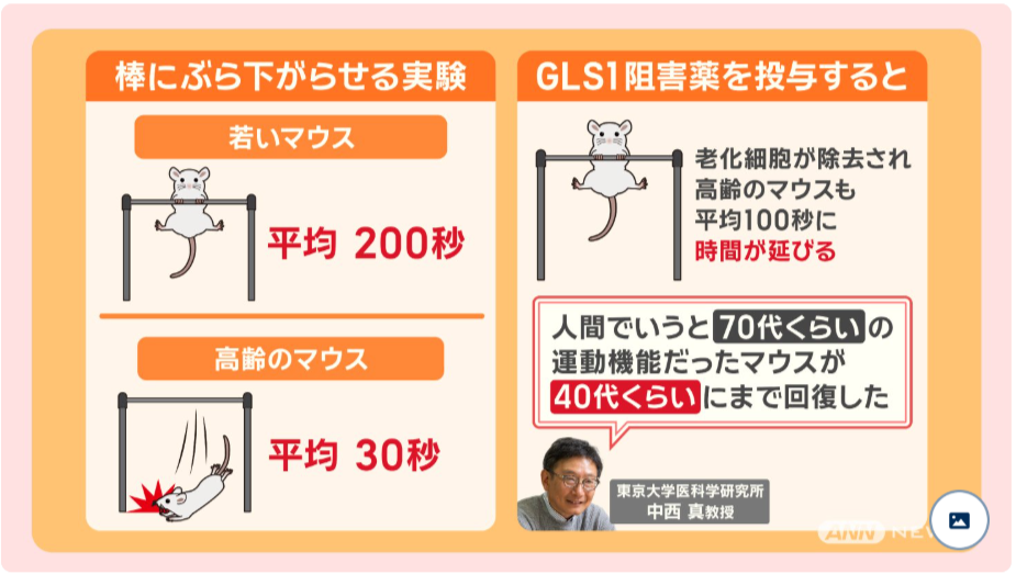 gls1阻害剤
